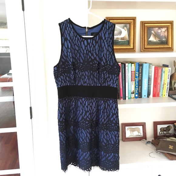 ROBERT RODRIGUEZ Black Blue Lace Dress - Picture 5 of 8